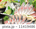 料理 11419486