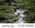 川 11419488