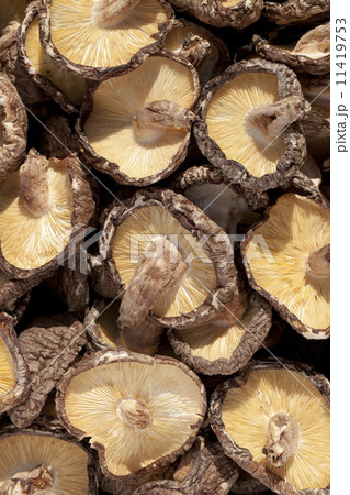 農業　家庭菜園 11419753