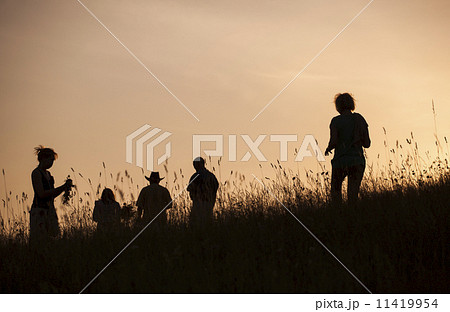 Silhouettes of People picking flowers during midsummer soltice 11419954