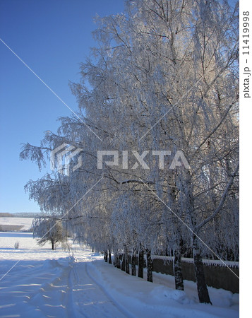 Snowy countryside 11419998
