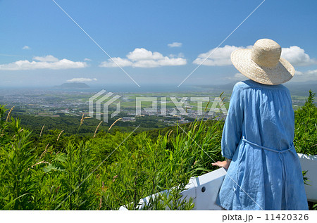 函館山を望む 11420326