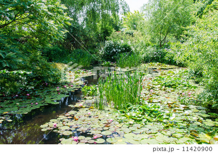 ビオトープ ビオトープ 11420900