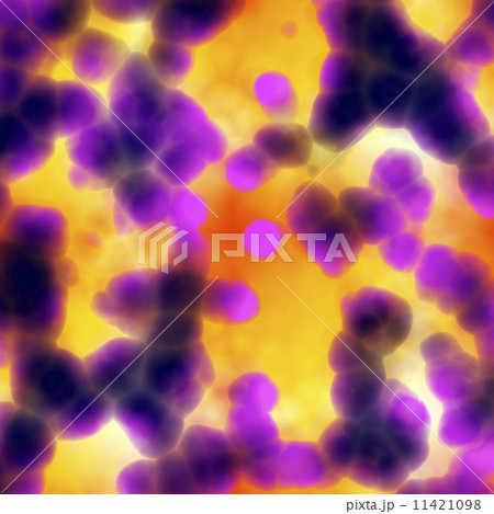Bacteria cells close up 11421098
