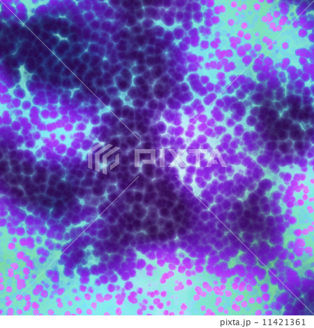 Bacteria cells close up 11421361