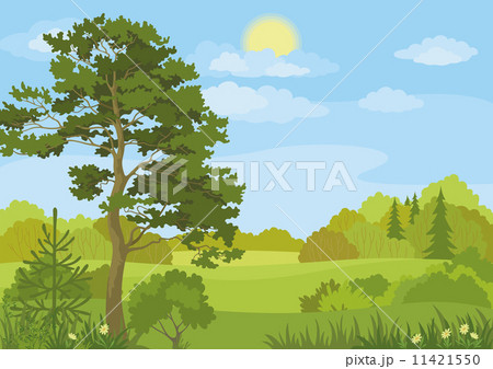 Summer landscape with trees and sky 11421550