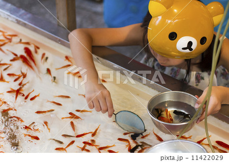 金魚すくい 11422029