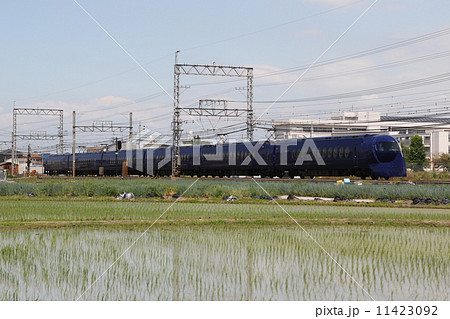 南海電鉄50000系 特急ラピート 南海電鉄50000系 特急ラピート 11423092