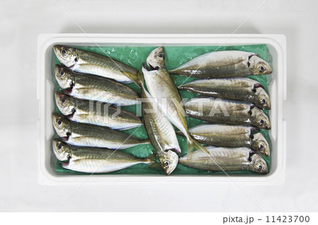 首折れアジトロ箱 11423700