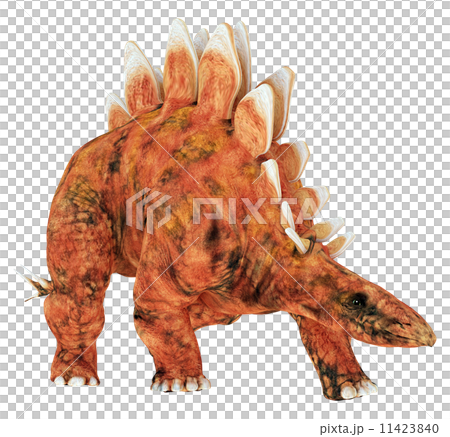 ステゴサウルス☆Stegosaur 11423840