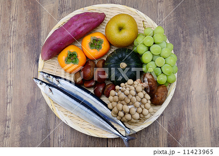 秋の味覚 11423965