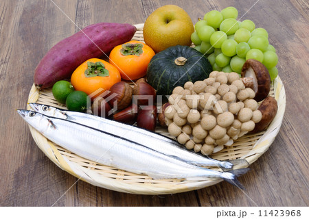 秋の味覚 11423968