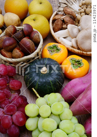 秋の味覚 11423971