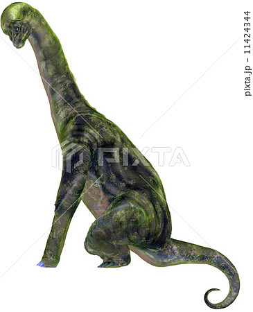 ブロントサウルス☆アパトサウルス☆Brontosaurus 11424344