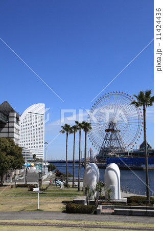 横浜 11424436