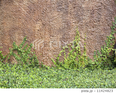 The Green Creeper The Green Creeper 11424823