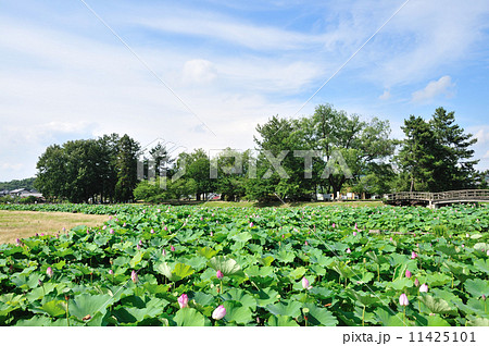 備中高松城 11425101
