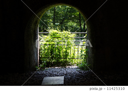 6号トンネル 11425310