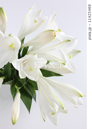 テッポウユリ（美白）のアレンジ（縦　部分） 11425469