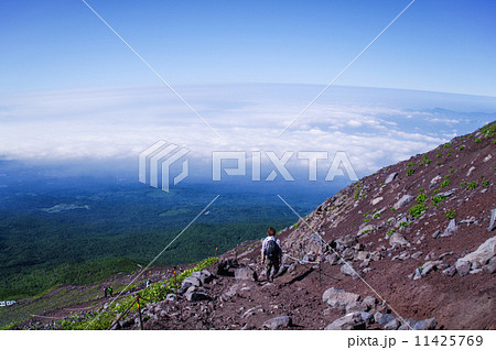 富士山 11425769