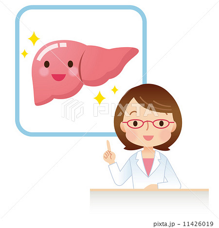 医療　健康　肝臓 11426019