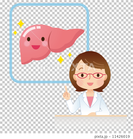 医療　健康　肝臓 11426019