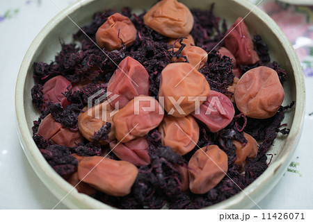 梅干しの完成　シソの葉を添えて器に盛る 11426071