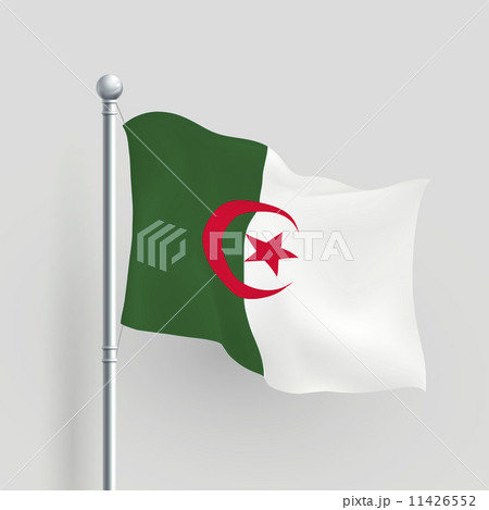 3d vector Algeria flag 3d vector Algeria flag 11426552