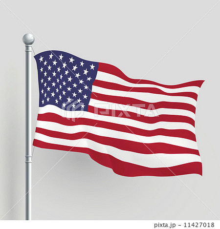 3d vector American flag 11427018