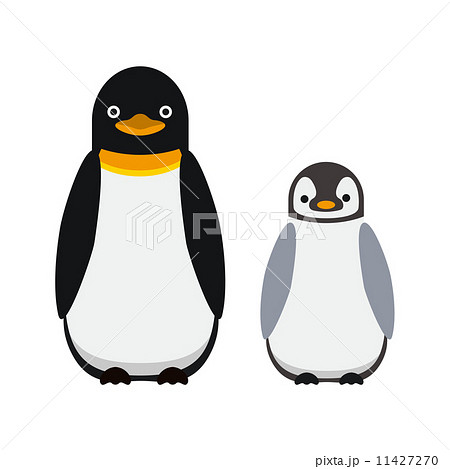 ペンギン 親子のイラスト素材 11427270 Pixta