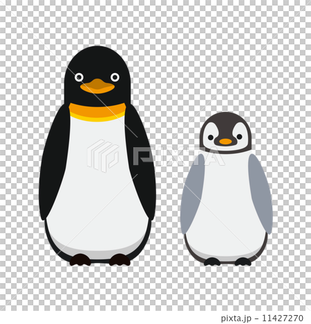 ペンギン 親子のイラスト素材