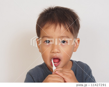 歯磨きをする男の子 11427291