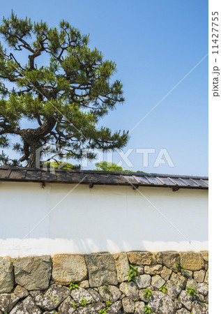 漆喰塗りの土塀 11427755