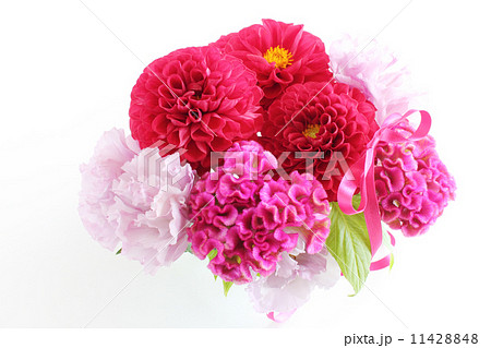 ダリアとケイトウとトルコキキョウのアレンジ（リボン） 11428848