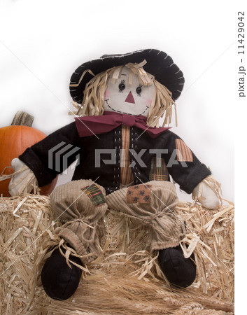 Harvest Scarecrow 11429042