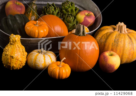 Harvest Festival 11429068