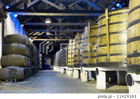 cellar with wine barrels cellar with wine barrels 11429163
