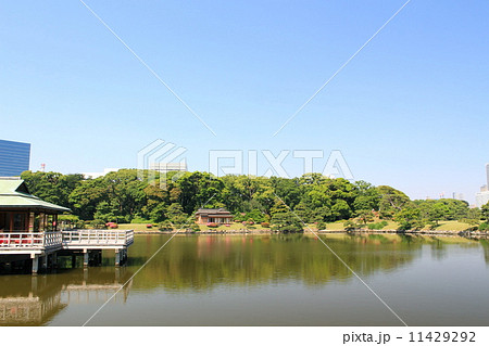 浜離宮恩賜庭園と汐留高層ビル群 11429292