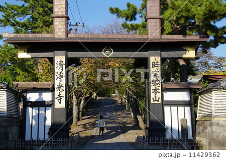 遊行寺 惣門(神奈川県藤沢市) 遊行寺 惣門(神奈川県藤沢市) 11429362