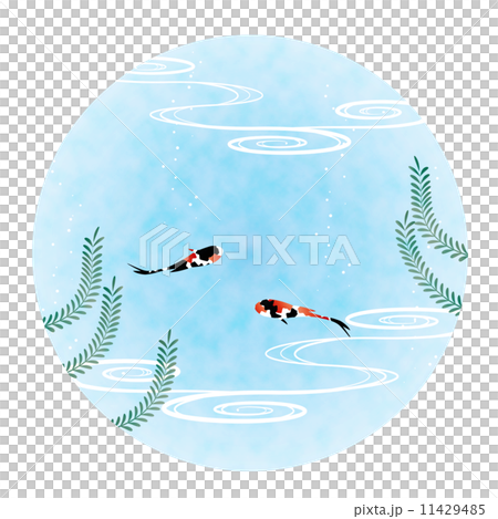 挿絵素材-金魚 挿絵素材-金魚 11429485