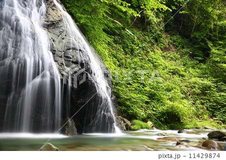 馬尾の滝 馬尾の滝 11429874