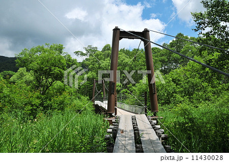 群馬県 片品村 尾瀬国立公園 尾瀬ケ原 ヨッピ橋 群馬県 片品村 尾瀬国立公園 尾瀬ケ原 ヨッピ橋 11430028