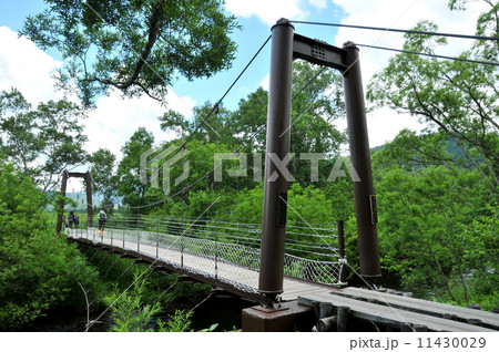 群馬県 片品村 尾瀬国立公園 尾瀬ケ原 ヨッピ橋 群馬県 片品村 尾瀬国立公園 尾瀬ケ原 ヨッピ橋 11430029