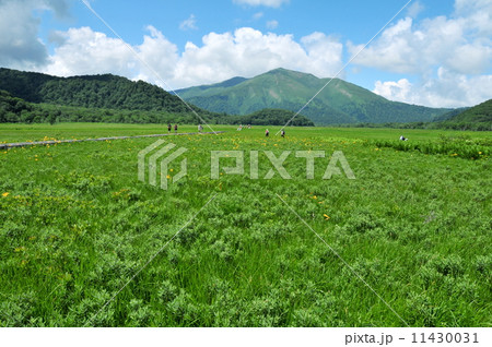 群馬県　片品村　夏の尾瀬ケ原　ハイキング 11430031