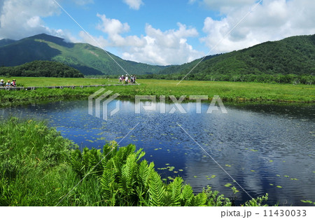 群馬県　尾瀬国立公園　夏の尾瀬ケ原　ハイキング 11430033