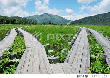 群馬県　片品村　夏の尾瀬ケ原　ハイキング 11430034