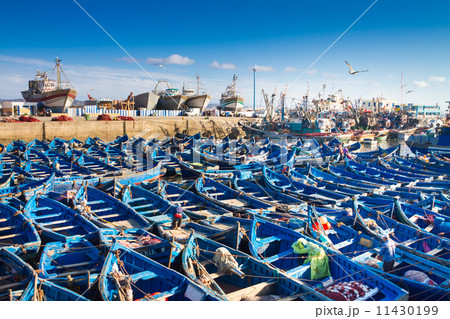 Essaouira - Magador port, Marrakech, Morocco. 11430199