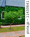 small chapel with green trees 11430641