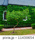 small chapel with green trees 11430654
