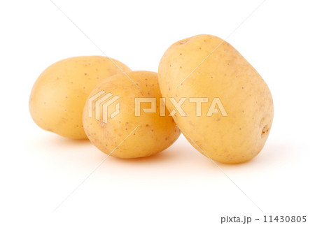 new potato tuber isolated on white background cutout new potato tuber isolated on white background cutout 11430805